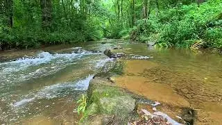Unwind & Recharge   Healing Nature Frequencies for Positive Energy & Well being