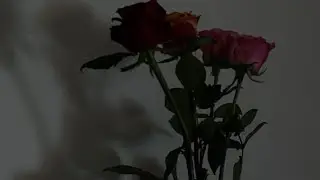 À cette femme 🤍