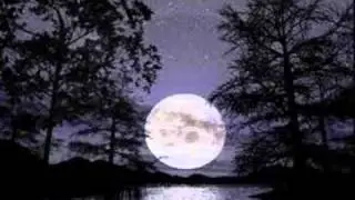 jose larralde-si me vieras por dentro
