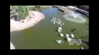 Le Jardin Zoologique de Rabat vu du ciel 2: Coming Soon!