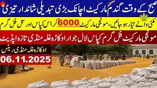 Wheat price in Pakistan//Makki🌽 price today 2025/Munji rates 2025/Galla Mandi rates today #gundam
