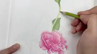 ’나의 꽃그림 색연필 컬러링북‘ 리시안셔스 채색라이브 -아트엑스 색연필-