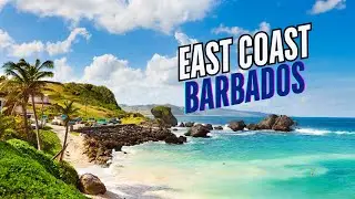 Barbados East Coast Escape: Peaceful Sights & Ocean Sounds
