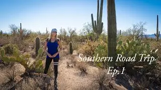 ARIZONA or BUST! Saguaro Nat'l Park & Tucson Mountain Park | Full Time Truck Camper Living | Vanlife
