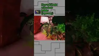 Simple Method To Exterminate Space Bugs