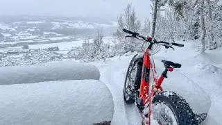 Winter wonderland