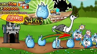 The Battle Cats - Spending $4.63 For An Anti Traitless