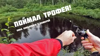 Fishing VLOG. Съёмка на рыбалке. Положение камеры. Часть 1. Мой самый крупный окунь