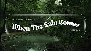 🌿🎧 Rainy Forest Temple Lofi Vlog | Chill Beats, Calm Nature & Relaxation 🌧️🍃🌙