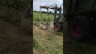Mechanical suckering in the vineyard &mdash; promoting healthy vines and better fruit 🍇