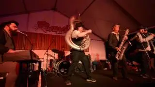 Pugsley Buzzard AT FAIRBRIDGE FESTIVAL 2017 RUBY ROOM 8894