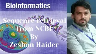 Gene sequence retrieval from NCBI database