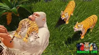 Albino Gorilla Stealing Tiger Cubs For Food! | ROBLOX Jungle Life