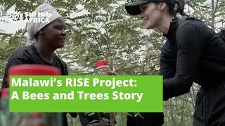 Malawi's RISE Project: A Bees & Trees Story