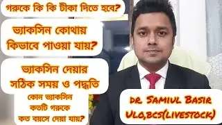 গরুর টিকা দেওয়ার নিয়ম। গরুর ভ্যাকসিন দেওয়ার নিয়ম।গরুর টিকার তালিকা।গরুর ভ্যাকসিন সিডিউল।গরুর টিকা।