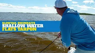 How To: Simple Swimbait Techniques For Shallow Water Tarpon