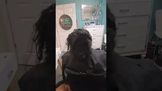 Confidence Is Caring for Your Hair, Not Just the Style| Ms. Pk's Crochet Braids