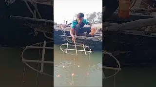 Perfect cat fishing technique #catfishing #fishingtips #fish