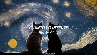 SIAM&Eacute;S - Post Tour Depression || Sub. Espa&ntilde;ol & lyrics