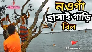 নওগাঁ হাসাই গাড়ি বিল  || Noaga hasai gari bil | মিনি কক্সবাজার || ভাইরাল গাছ