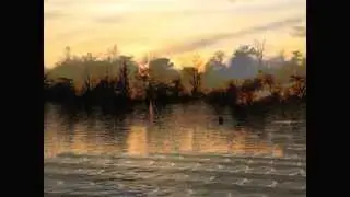 PUEBLOS Y PAISAJES  Luces del parque del Retiro