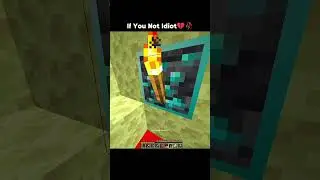 Minecraft idiot moment