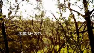 piano house二重奏「ciel」ピアノハウスNekodaruma