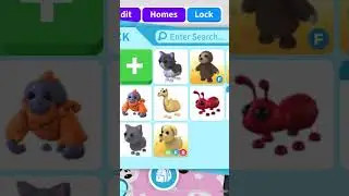 My inv Update