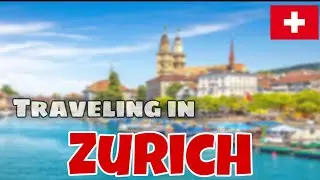 Zurich Airport transfers and taxis_ Just Another Day in Paradise 🇨🇭 #black_transfer