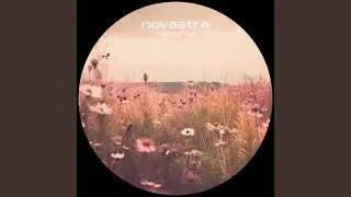 liquid dreams