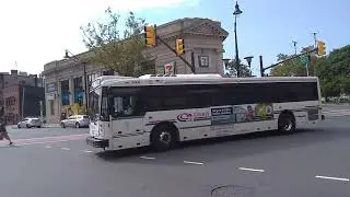 Coach USA Nabi #6506 on the 31