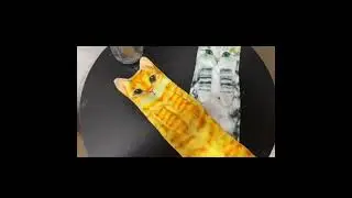 Cat Funny Hand Towels for Bathroom Kitchen, Cute Cat Hand Towel for Cat Lover Decorative,Cat Decor
