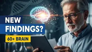 Supplement Science: What New Research Suggests About Brain Support After 60
