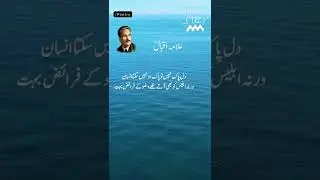 Allama Iqbal Poetry❤️Ⓜ️😊#urdupoetry #shorts