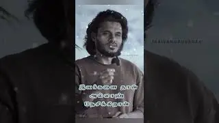 இவர்களை தான் அல்லாஹ்  abdul basith bukhari best tamil bayan@shorts_HD @TamilIslamicshorts