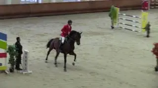 Student (Captain Fire - Cornet Obolensky) 2010 г.р 1,40см перепрыжка