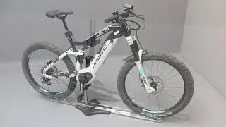 Birkhold 2020