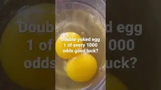 Double yoked egg 1 of every 1000 odds #viral #food #review #goodluck #mukbang