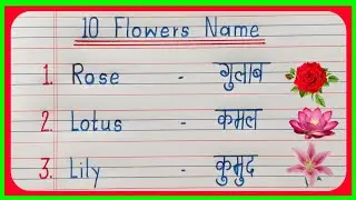 10 Flowers name | 10 Flowers name in hindi and english | फूलों का नाम | Flowers name | phulo ke naam