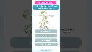 Chasmogamous|cleistogamous|pollination #biology #ncert #class12th #chapter1 #neet2024 #neet
