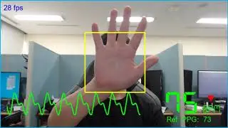 Real-time rPPG from palm region