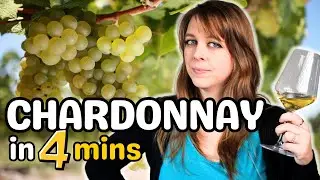 Understand CHARDONNAY in 5 Minutes (or Less!)