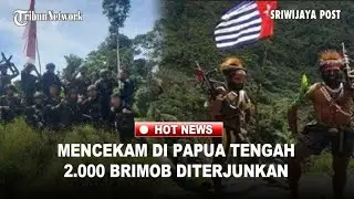 22 Serdadu OPM Tumbang, Serbuan Elit Brimob-Infanteri Guncang 7 Markas KKB ZONA Merah