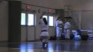 Joe Anon Kata Seminar - 11