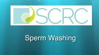 What is Sperm Washing?