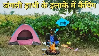 Winter Night Camping At Dense Jungle 🌲 Peaceful Yet Scary Wild 🔥 Camping Video