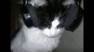 Depredator - ZXCV