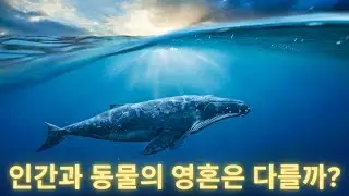 Are humans truly the lords of creation? / Do plants have souls? / Are humans also born as animals?