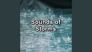 Beautiful Symphony of Rain Water