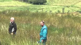 Harry Flatters Rally 2012 crash